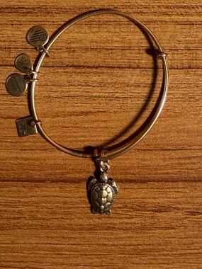Alex and Ani Sea Turtle Charm Bangle Bracelet - Rafaelian Gold Finish